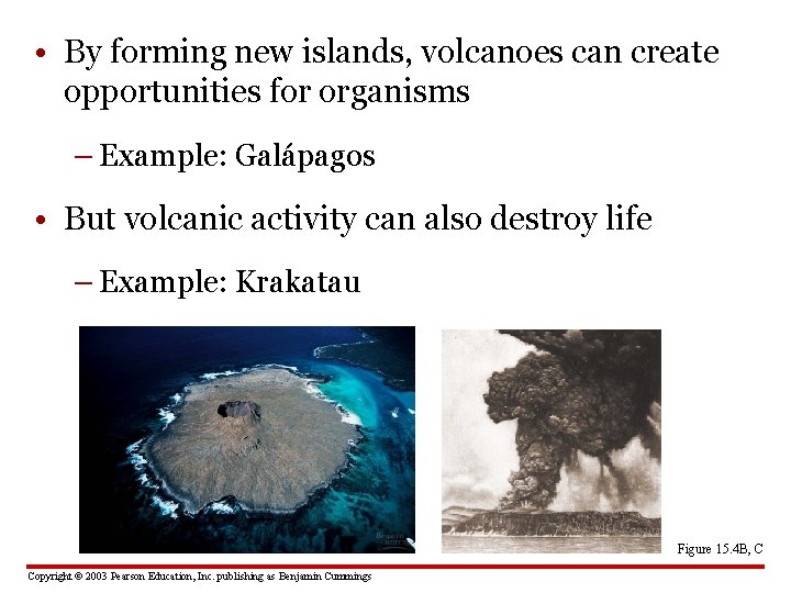  • By forming new islands, volcanoes can create opportunities for organisms – Example: