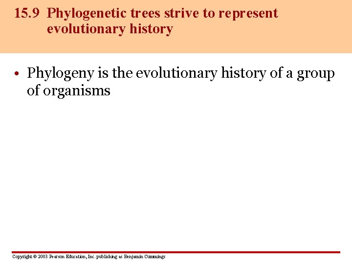 15. 9 Phylogenetic trees strive to represent evolutionary history • Phylogeny is the evolutionary