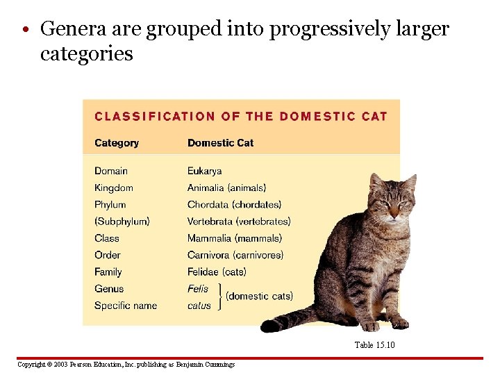  • Genera are grouped into progressively larger categories Table 15. 10 Copyright ©