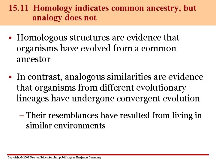 15. 11 Homology indicates common ancestry, but analogy does not • Homologous structures are