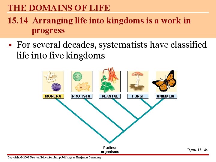 THE DOMAINS OF LIFE 15. 14 Arranging life into kingdoms is a work in