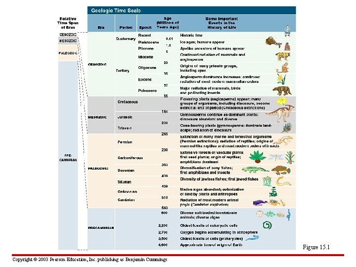 Figure 15. 1 Copyright © 2003 Pearson Education, Inc. publishing as Benjamin Cummings 