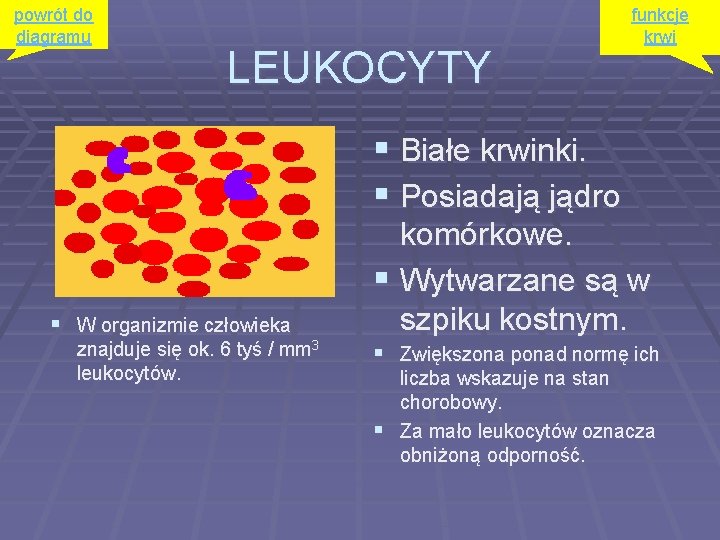 powrót do diagramu LEUKOCYTY funkcje krwi § Białe krwinki. § Posiadają jądro § W
