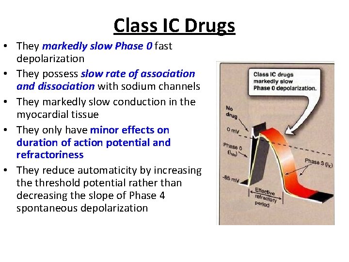 Class IC Drugs • They markedly slow Phase 0 fast depolarization • They possess