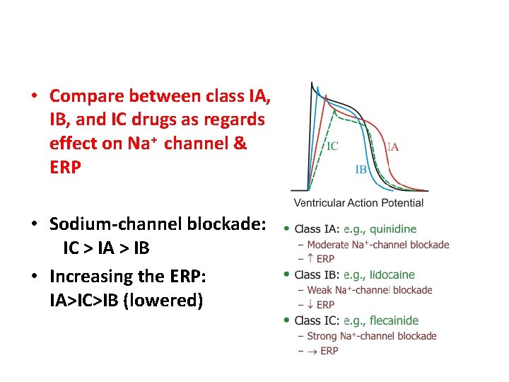  • Compare between class IA, IB, and IC drugs as regards effect on