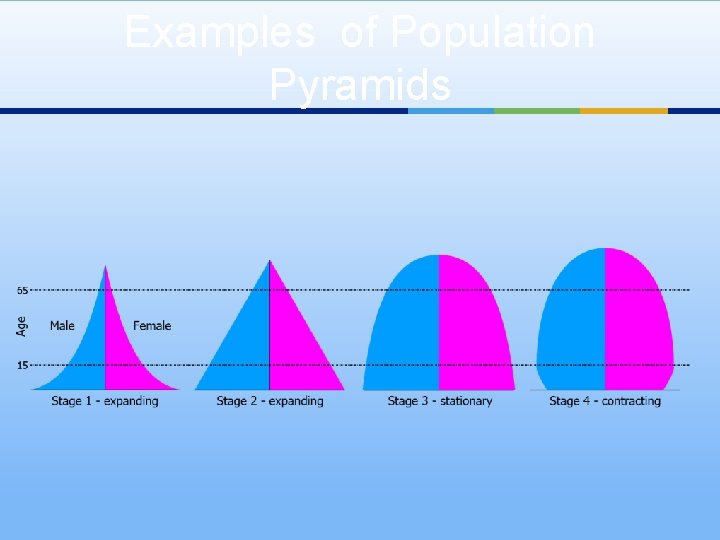 Examples of Population Pyramids 