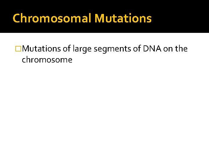 Chromosomal Mutations �Mutations of large segments of DNA on the chromosome 