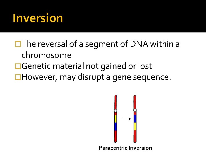 Inversion �The reversal of a segment of DNA within a chromosome �Genetic material not