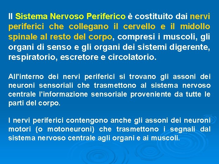 Il Sistema Nervoso Periferico è costituito dai nervi periferici che collegano il cervello e Il Sistema Nervoso Periferico è costituito dai nervi periferici che collegano il cervello e