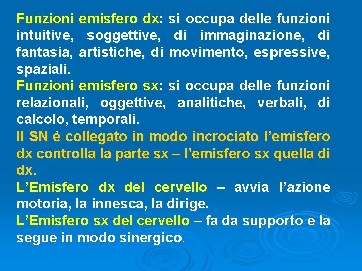 Funzioni emisfero dx: si occupa delle funzioni intuitive, soggettive, di immaginazione, di fantasia, artistiche, Funzioni emisfero dx: si occupa delle funzioni intuitive, soggettive, di immaginazione, di fantasia, artistiche,