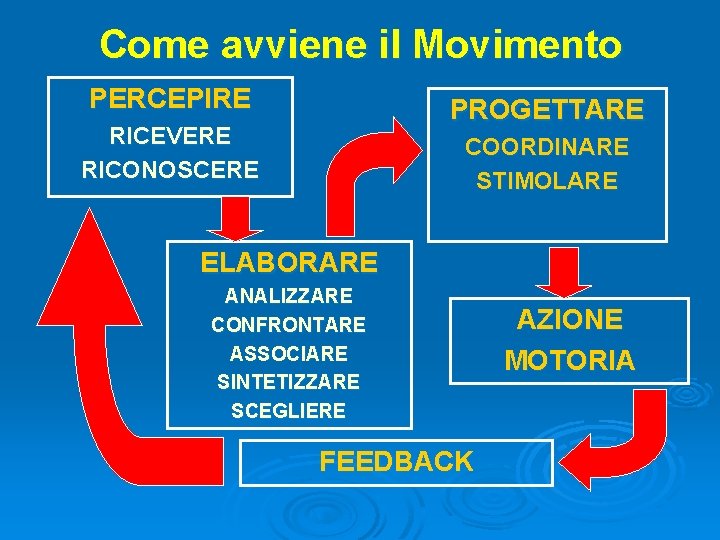 Come avviene il Movimento PERCEPIRE PROGETTARE RICEVERE RICONOSCERE COORDINARE STIMOLARE ELABORARE ANALIZZARE CONFRONTARE ASSOCIARE Come avviene il Movimento PERCEPIRE PROGETTARE RICEVERE RICONOSCERE COORDINARE STIMOLARE ELABORARE ANALIZZARE CONFRONTARE ASSOCIARE