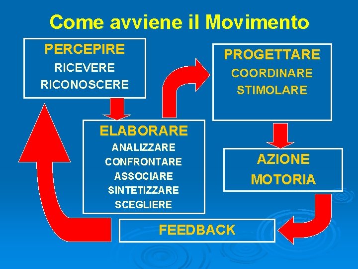 Come avviene il Movimento PERCEPIRE PROGETTARE RICEVERE RICONOSCERE COORDINARE STIMOLARE ELABORARE ANALIZZARE CONFRONTARE ASSOCIARE