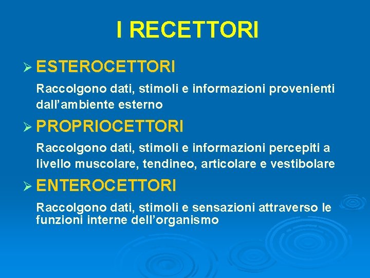 I RECETTORI Ø ESTEROCETTORI Raccolgono dati, stimoli e informazioni provenienti dall’ambiente esterno Ø PROPRIOCETTORI I RECETTORI Ø ESTEROCETTORI Raccolgono dati, stimoli e informazioni provenienti dall’ambiente esterno Ø PROPRIOCETTORI