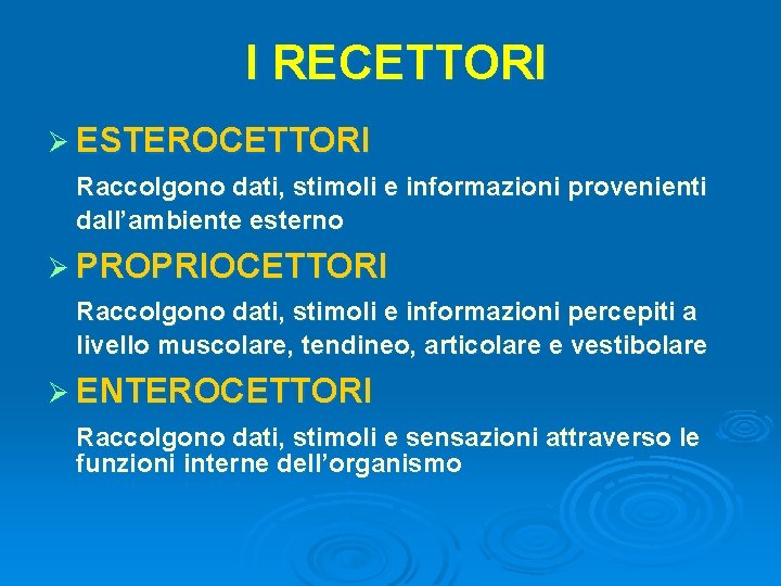 I RECETTORI Ø ESTEROCETTORI Raccolgono dati, stimoli e informazioni provenienti dall’ambiente esterno Ø PROPRIOCETTORI