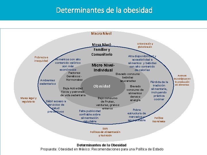 Determinantes de la obesidad Macro Nivel Meso Nivel. Familiar y Comunitario Pobreza e inequidad