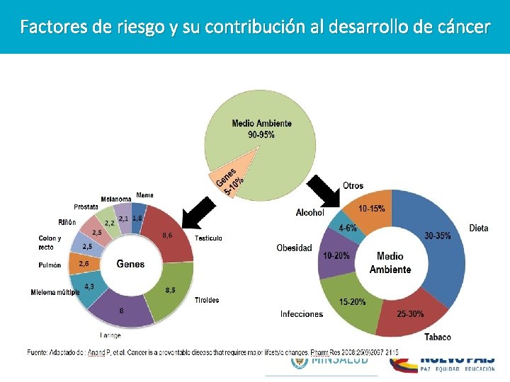 Factores de riesgo y su contribución al desarrollo de cáncer 