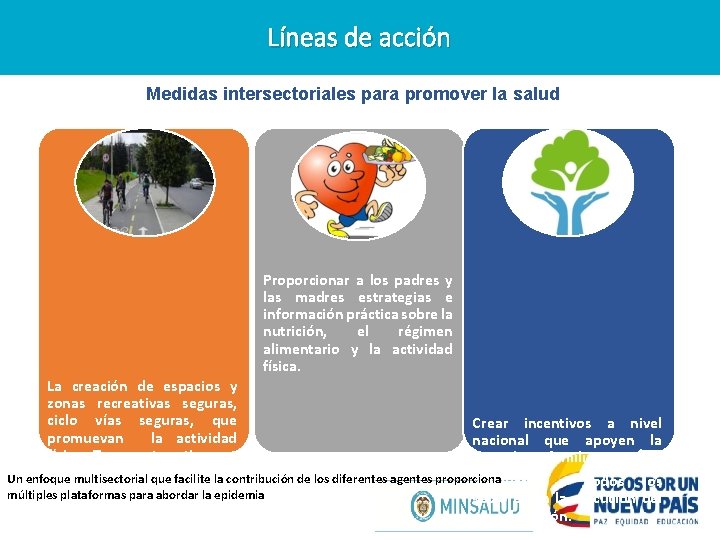 Líneas de acción Medidas intersectoriales para promover la salud Proporcionar a los padres y