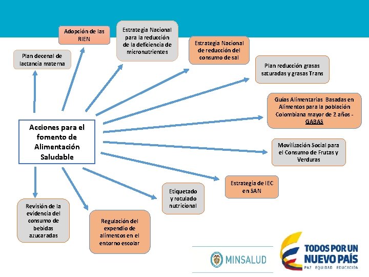 Adopción de las RIEN Plan decenal de lactancia materna Estrategia Nacional para la reducción