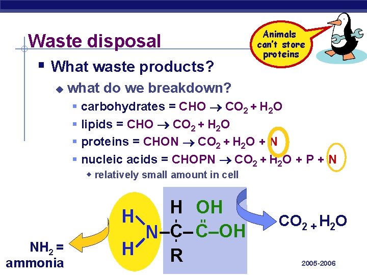 Waste disposal § What waste products? u Animals can’t store proteins what do we