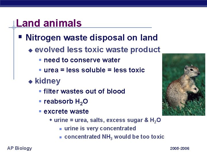 Land animals § Nitrogen waste disposal on land u evolved less toxic waste product