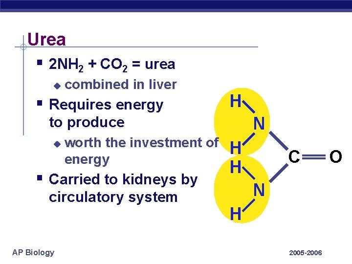 Urea § 2 NH 2 + CO 2 = urea u combined in liver