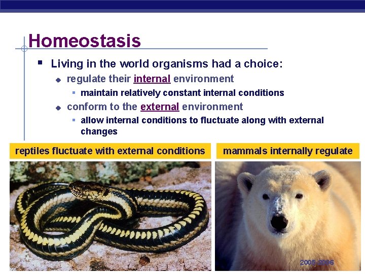 Homeostasis § Living in the world organisms had a choice: u regulate their internal