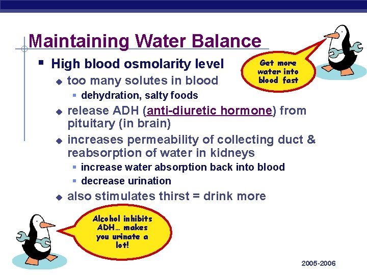 Maintaining Water Balance § High blood osmolarity level u too many solutes in blood