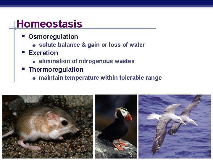 Homeostasis § Osmoregulation u solute balance & gain or loss of water § Excretion