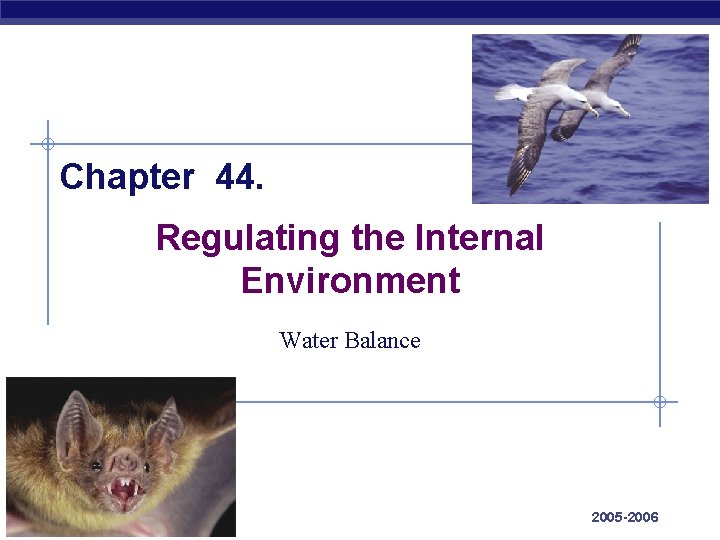 Chapter 44. Regulating the Internal Environment Water Balance AP Biology 2005 -2006 