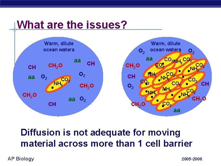 What are the issues? Warm, dilute ocean waters CH aa O 2 CH 2