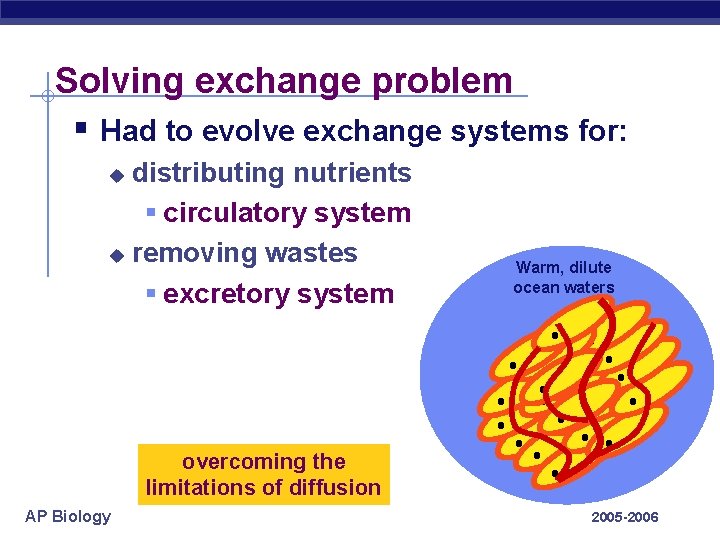 Solving exchange problem § Had to evolve exchange systems for: distributing nutrients § circulatory
