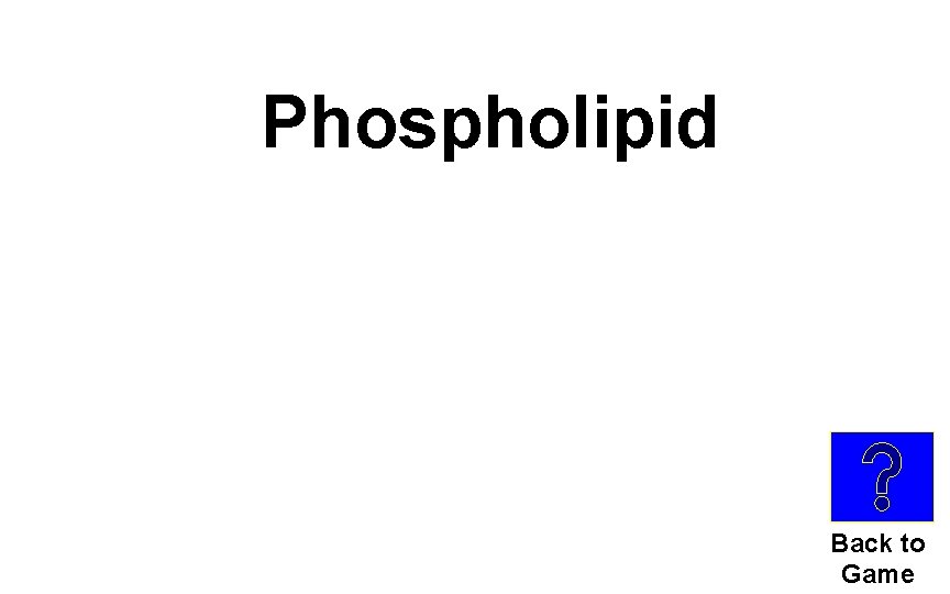 Phospholipid Back to Game 