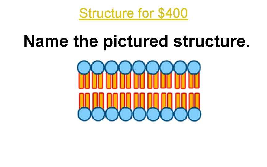 Structure for $400 Name the pictured structure. 