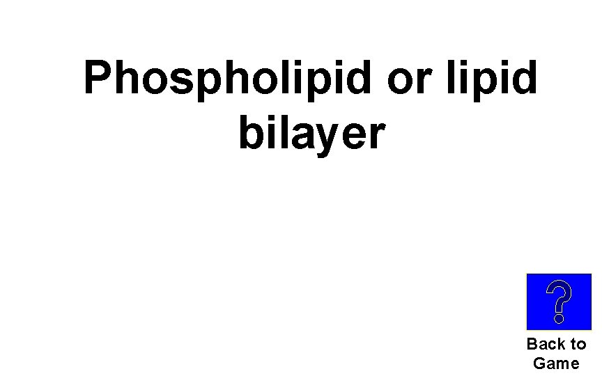 Phospholipid or lipid bilayer Back to Game 