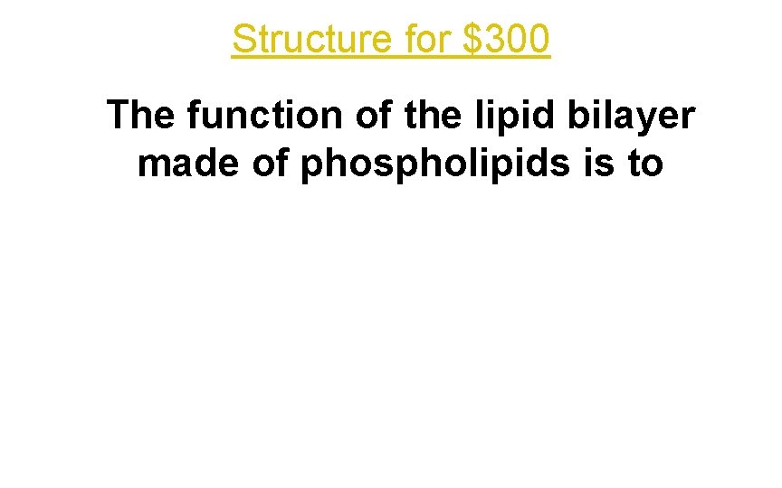 Structure for $300 The function of the lipid bilayer made of phospholipids is to