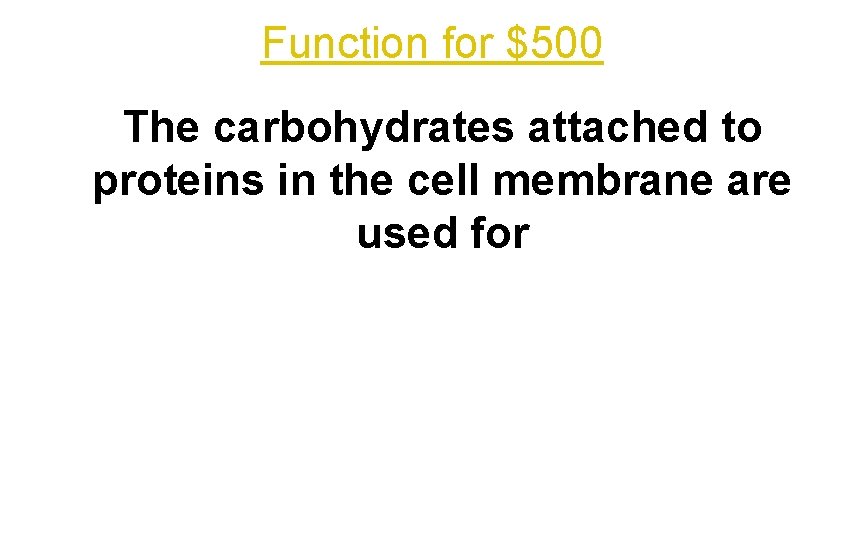 Function for $500 The carbohydrates attached to proteins in the cell membrane are used