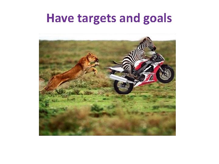 Have targets and goals 