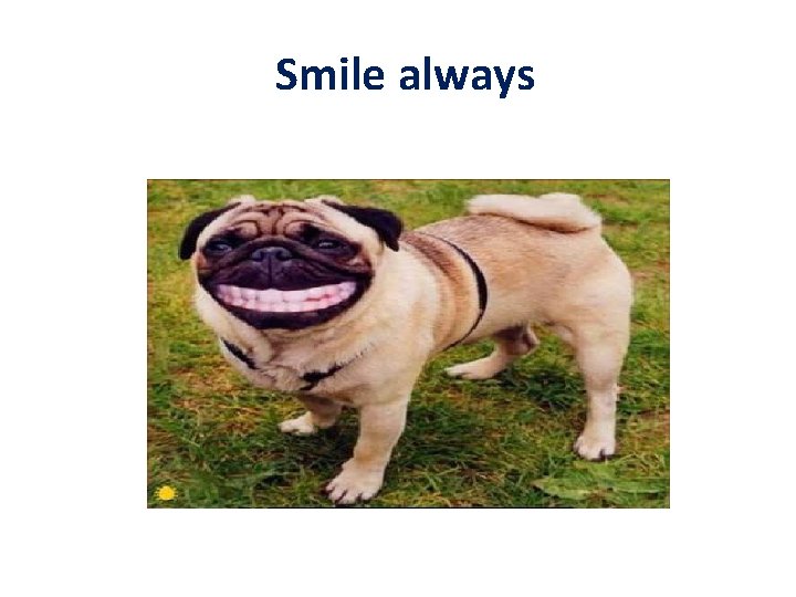 Smile always 