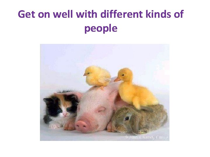 Get on well with different kinds of people 