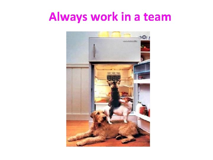 Always work in a team 