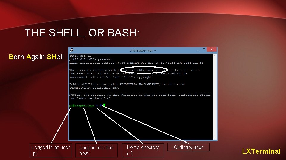 THE SHELL, OR BASH: Born Again SHell Logged in as user ‘pi’ Logged into