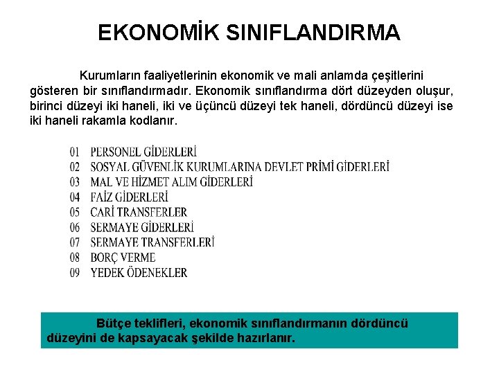 EKONOMİK SINIFLANDIRMA Kurumların faaliyetlerinin ekonomik ve mali anlamda çeşitlerini gösteren bir sınıflandırmadır. Ekonomik sınıflandırma