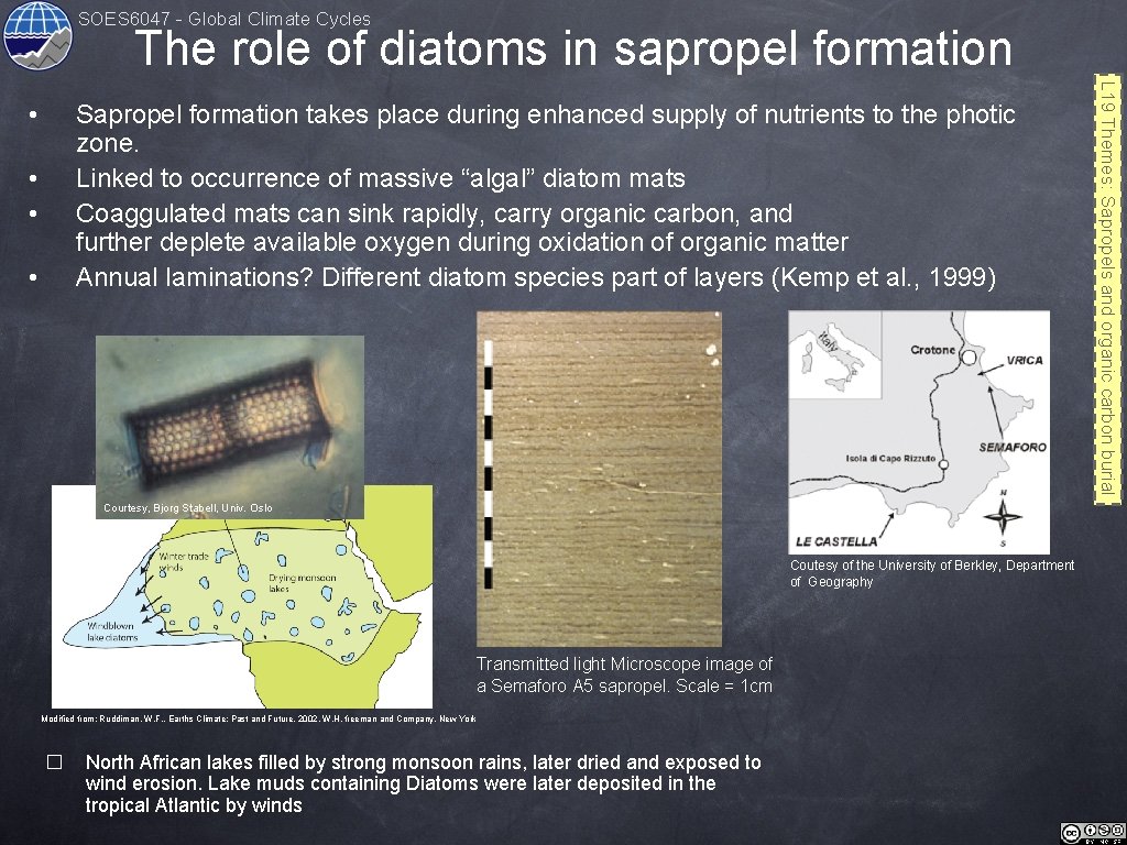 SOES 6047 - Global Climate Cycles The role of diatoms in sapropel formation Sapropel