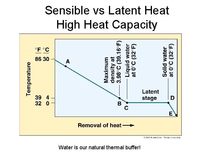 Sensible vs Latent Heat High Heat Capacity Water is our natural thermal buffer! 