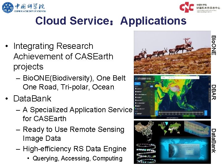 Cloud Service：Applications • Data. Bank • Querying, Accessing, Computing Data. Bank – A Specialized