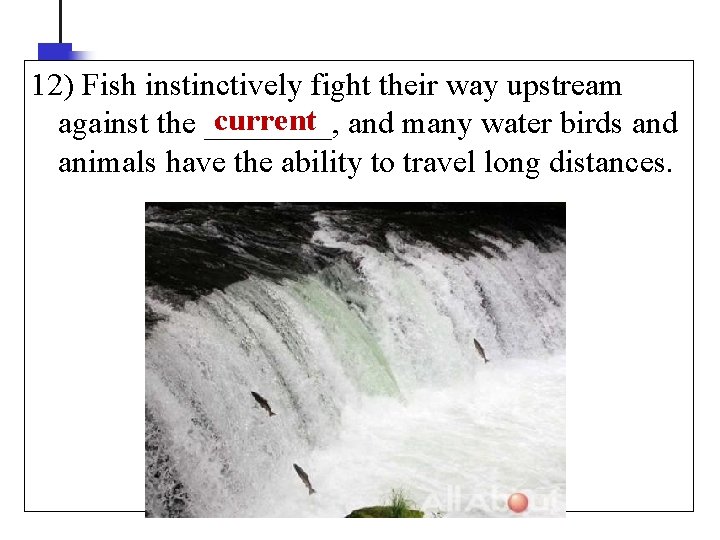 12) Fish instinctively fight their way upstream current and many water birds and against