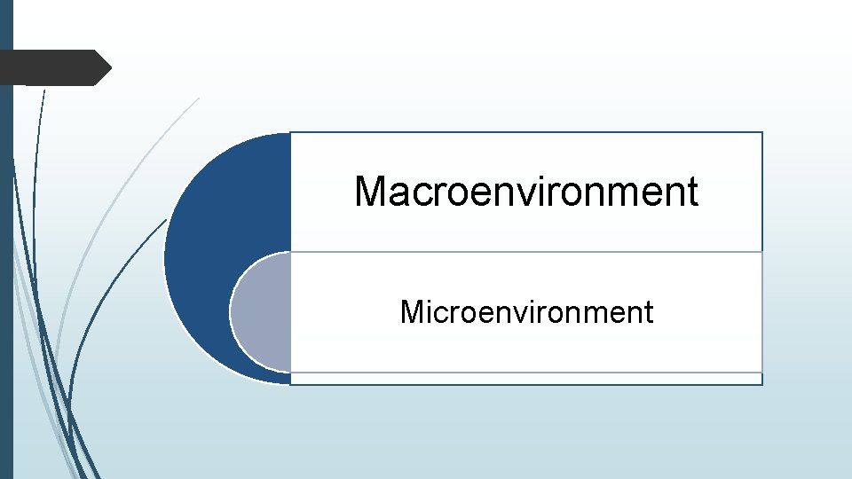 Macroenvironment Microenvironment 