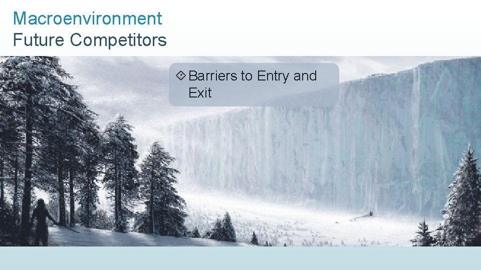 Macroenvironment Future Competitors Barriers to Entry and Exit 