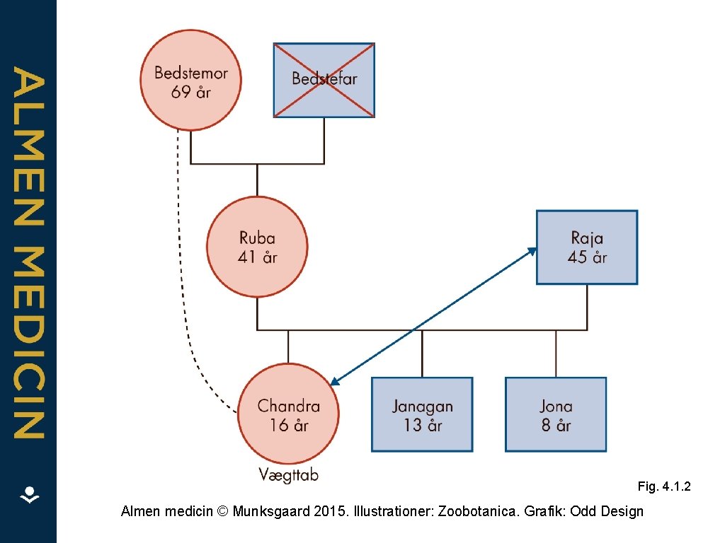 Fig. 4. 1. 2 Almen medicin © Munksgaard 2015. Illustrationer: Zoobotanica. Grafik: Odd Design