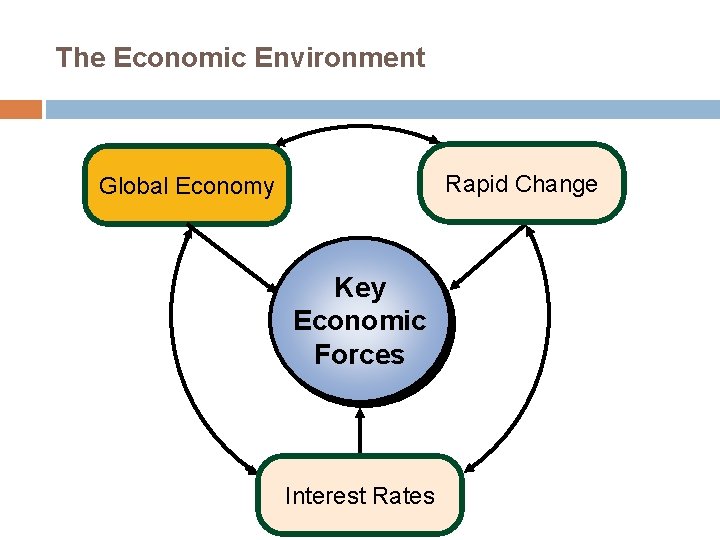 The Economic Environment Rapid Change Global Economy Key Economic Forces Interest Rates 